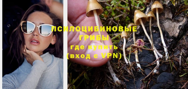 МДПВ Алексин
