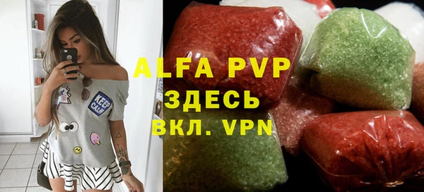 прущие грибы Алзамай